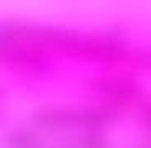 Meet your Posher, Lidia